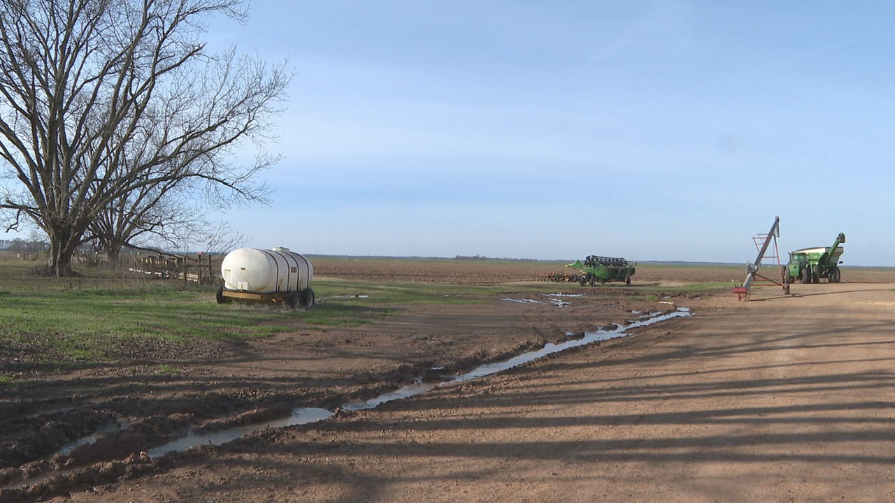 Roundup - farm scene